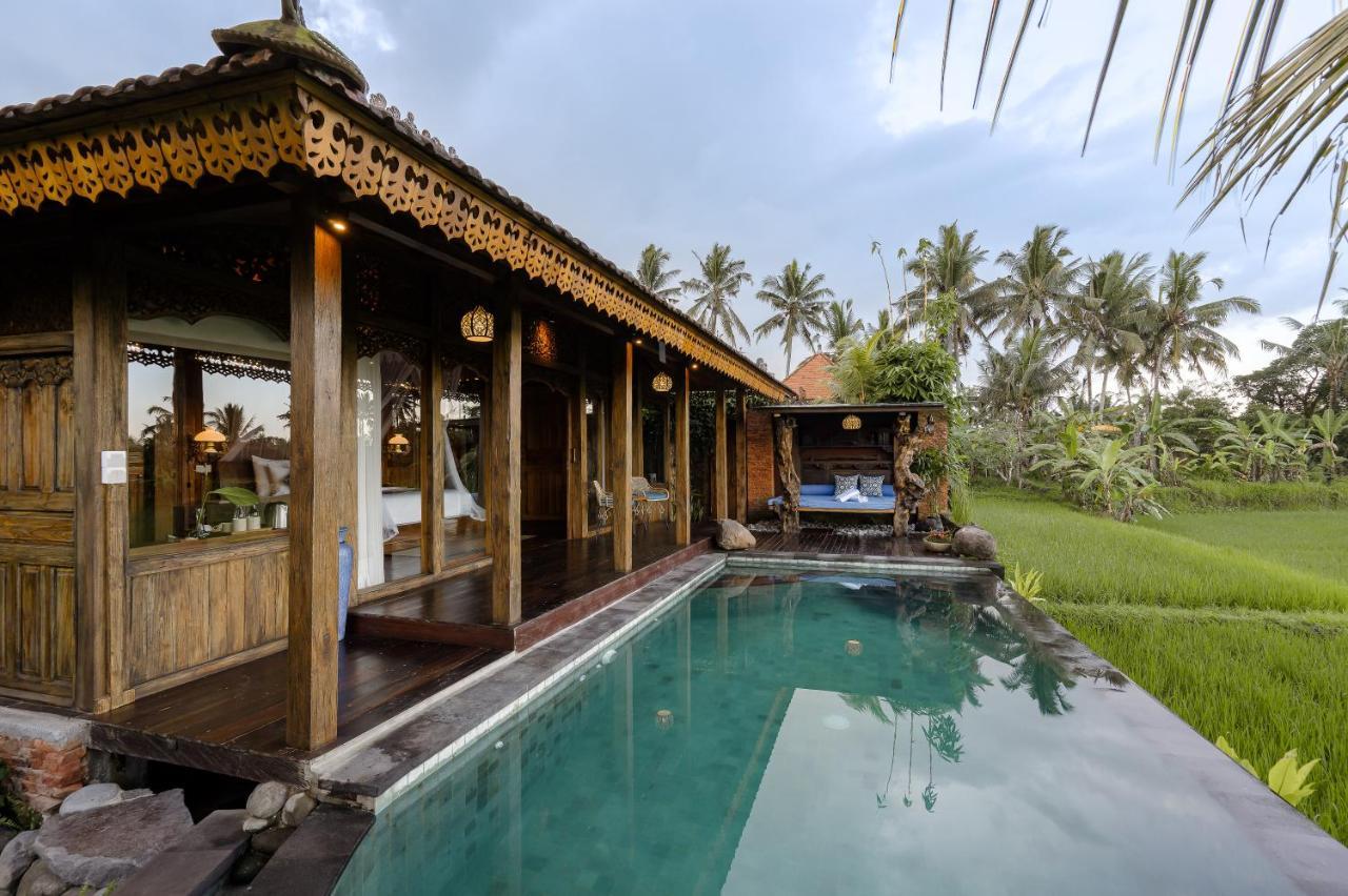 One-Bedroom Villa Private Pool