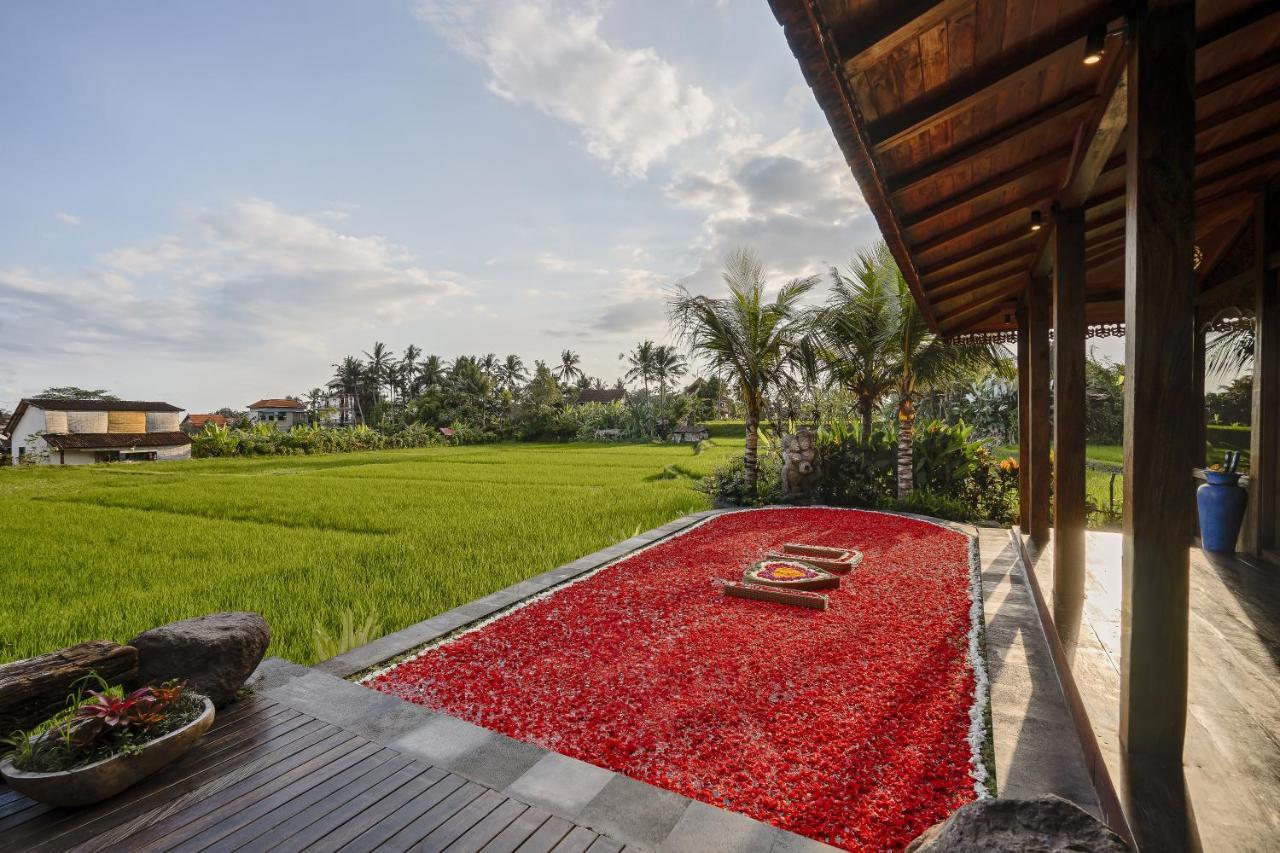 One-Bedroom Villa Private Pool