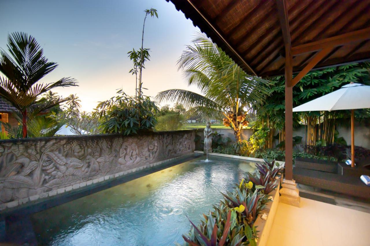 Standard Villa