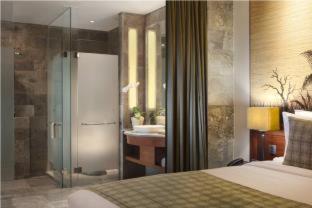 Premier Double or Twin Room