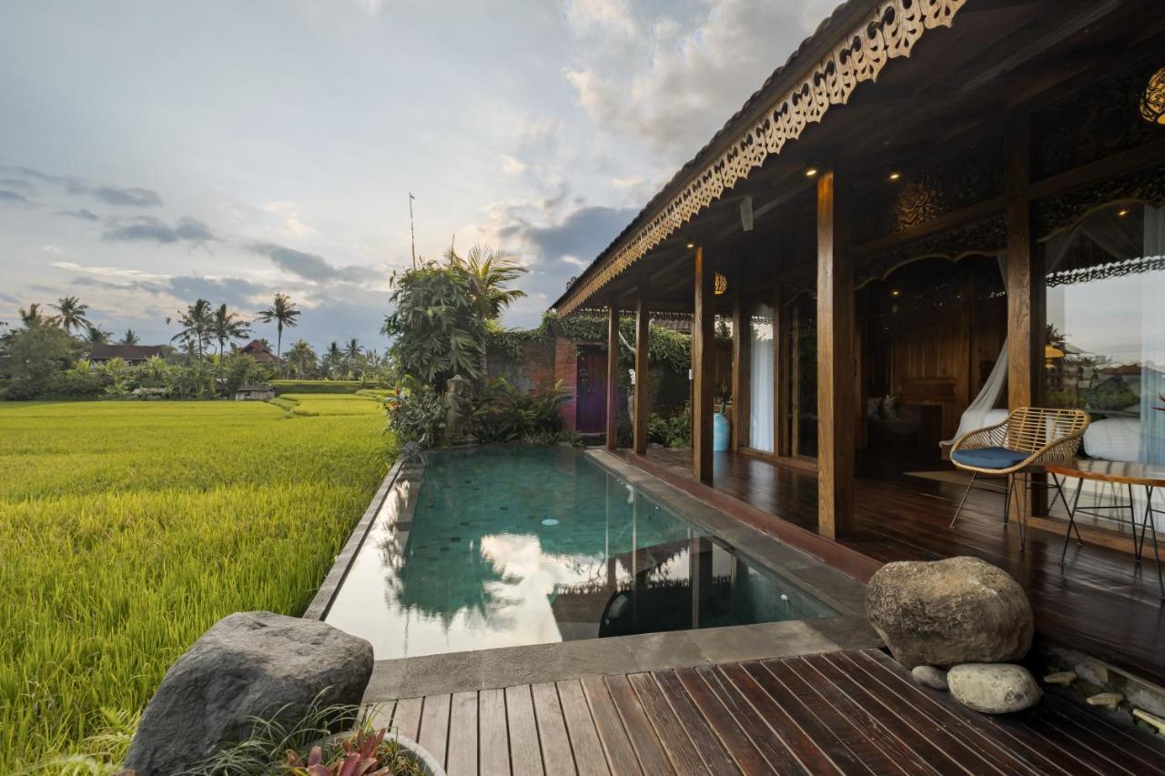One-Bedroom Villa Private Pool
