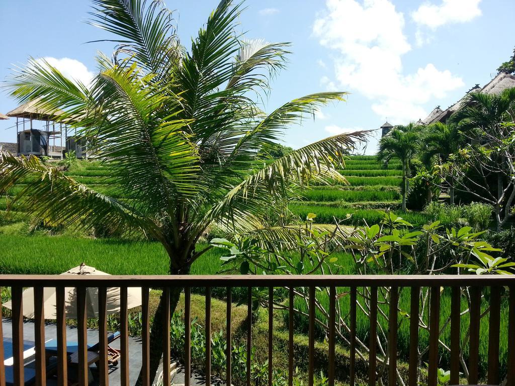 Paket Retreat - Kamar Deluxe Double dengan Pemandangan Kolam Renang
