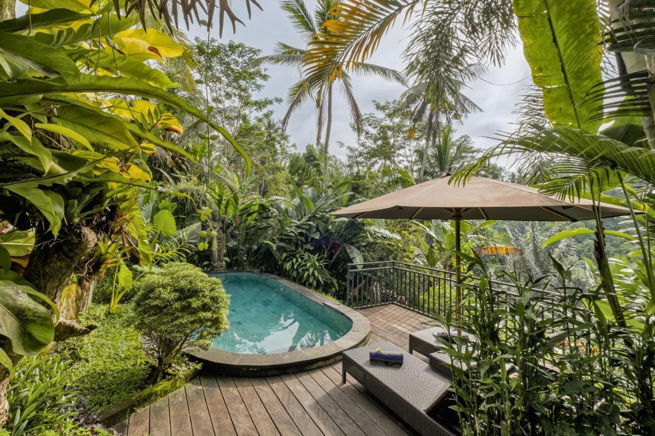 One-Bedroom Pool Villa Valley View