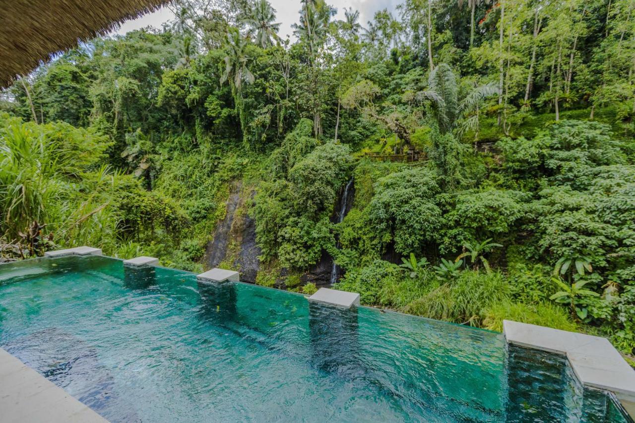 Vila dengan Kolam Renang Pribadi
