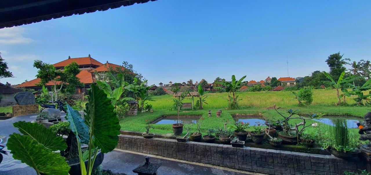 Standard Double Room Terrace or Balcony