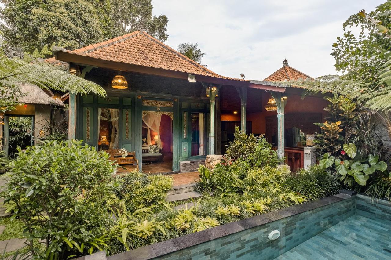 One-Bedroom Villa
