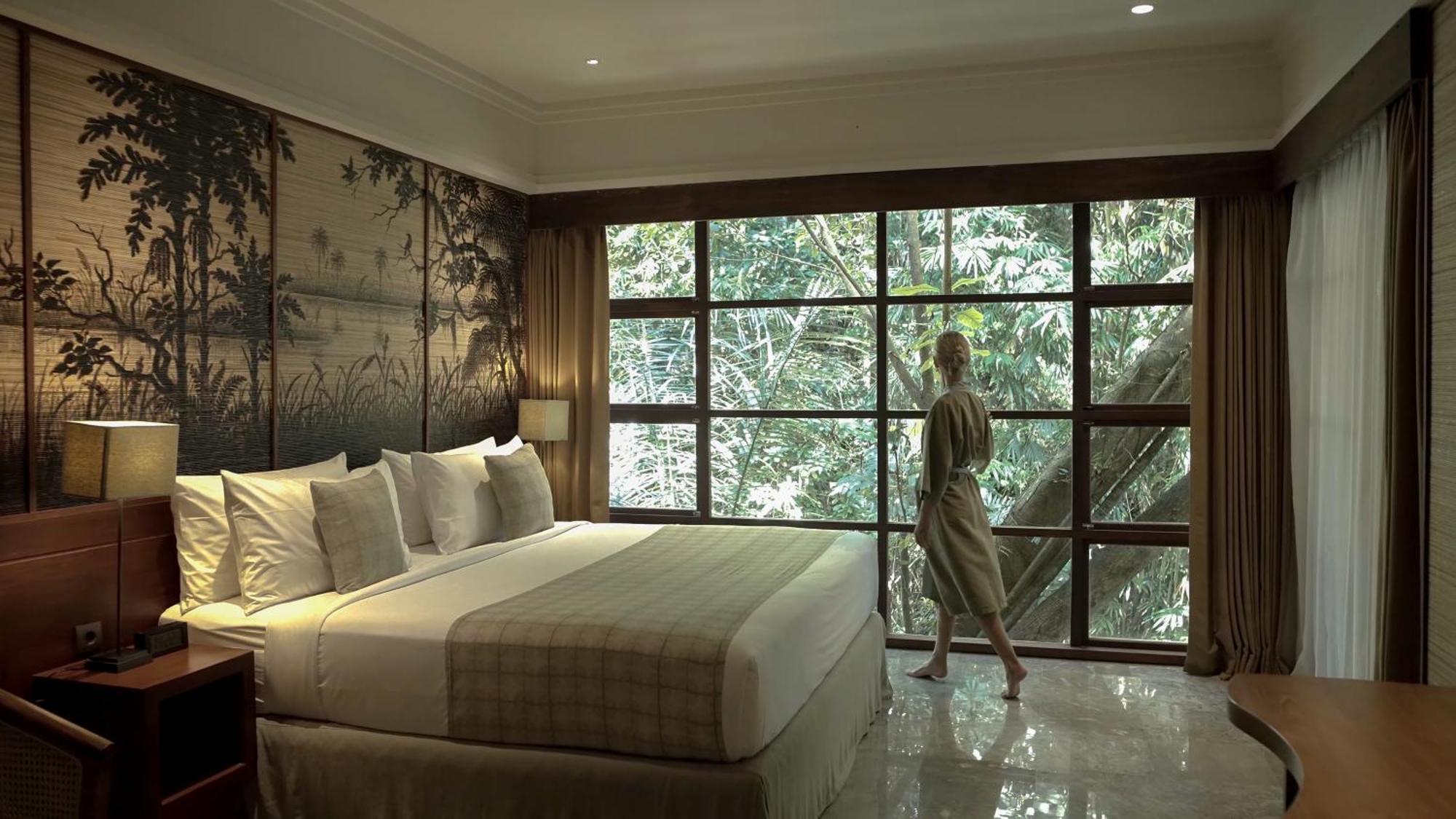 Premier Suite Room
