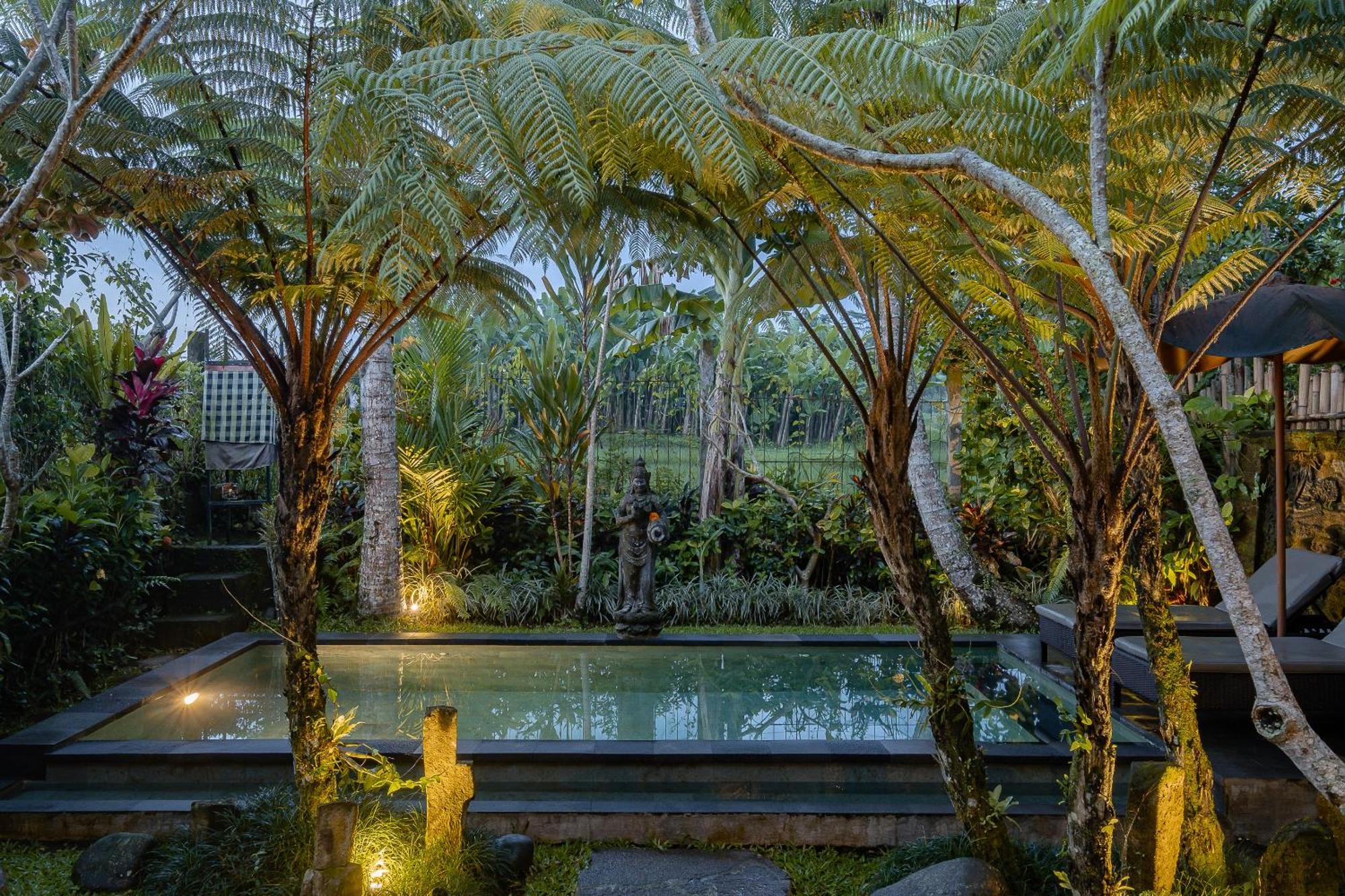 One-Bedroom Pool Villa Ricefield View