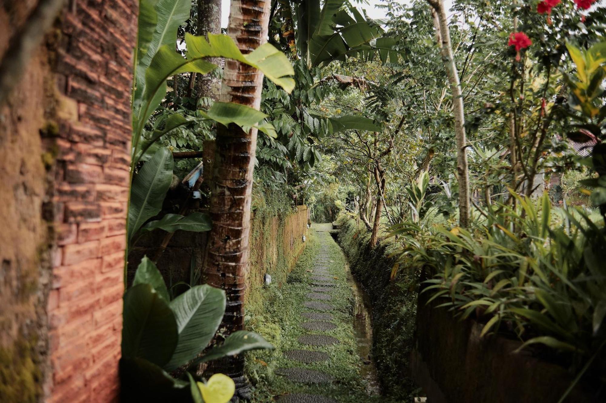 One-Bedroom Pool Villa Ricefield View