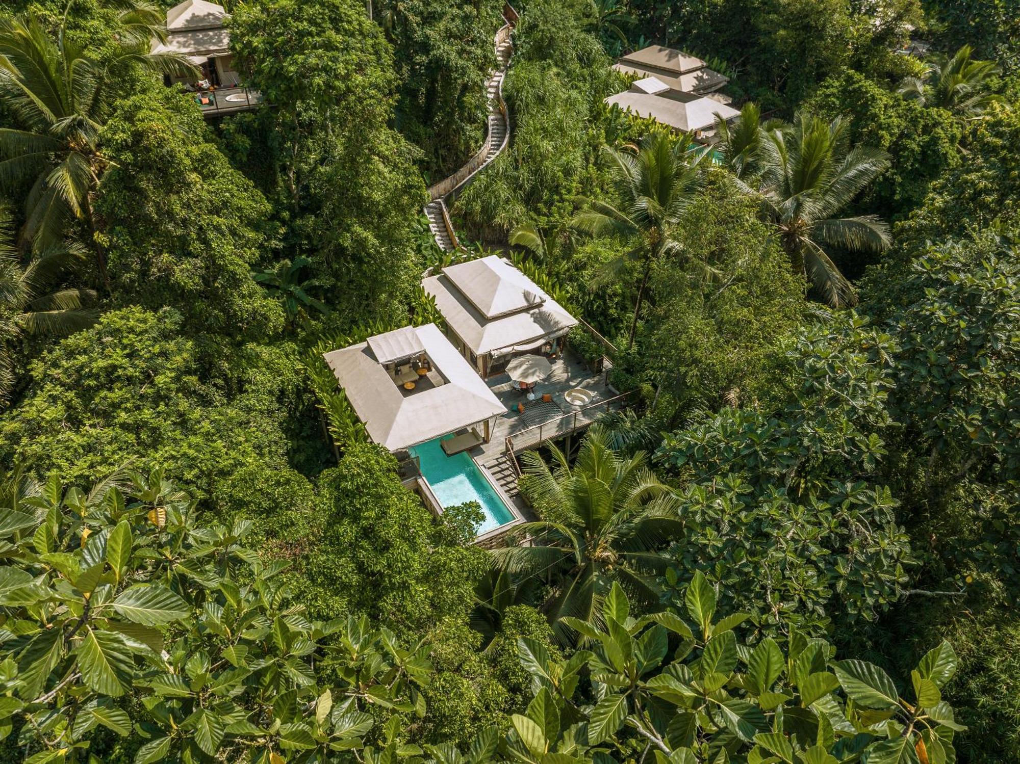 Jungle Infinity Pool Lodge Adults Only