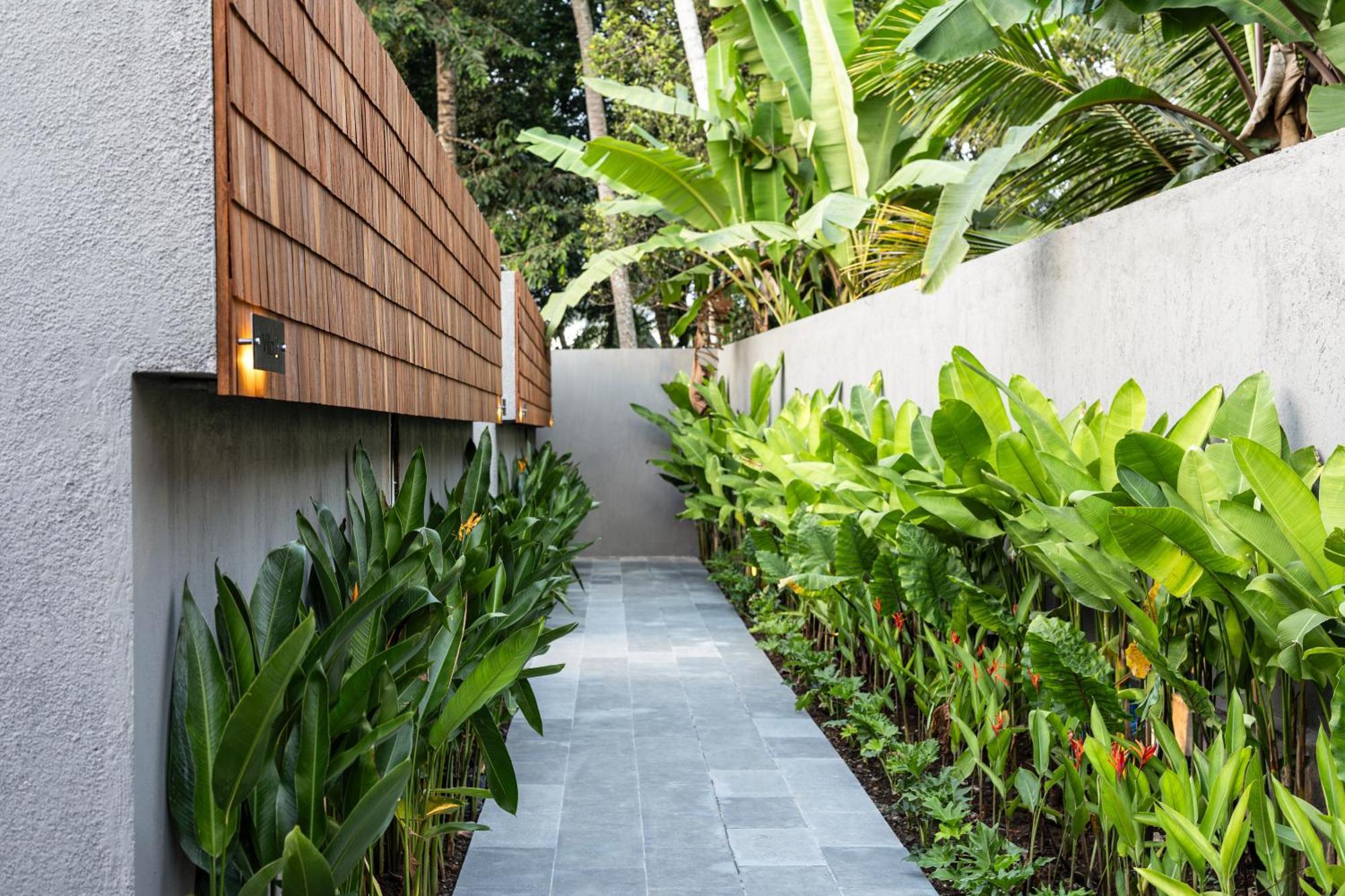 Villa Private Infinity Pool Jungle View