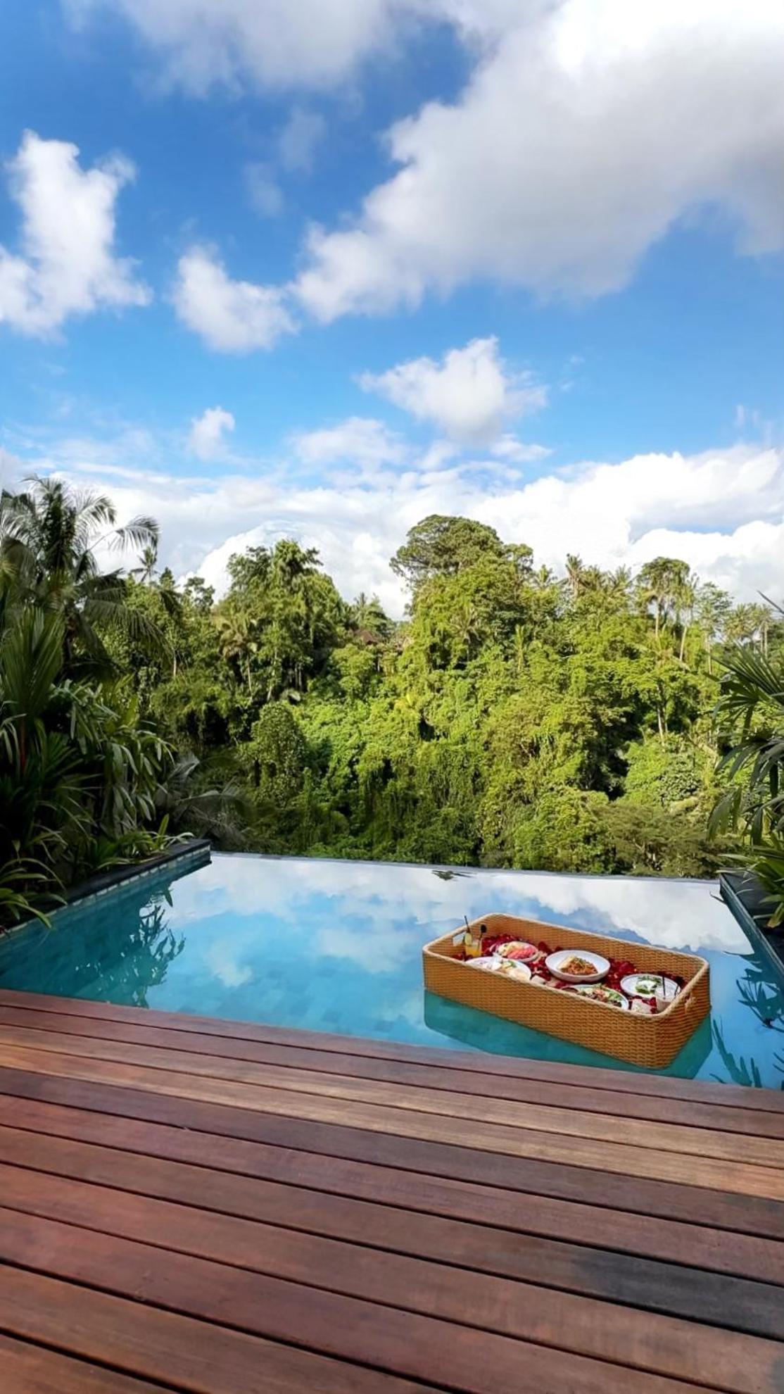 Villa Private Infinity Pool Jungle View