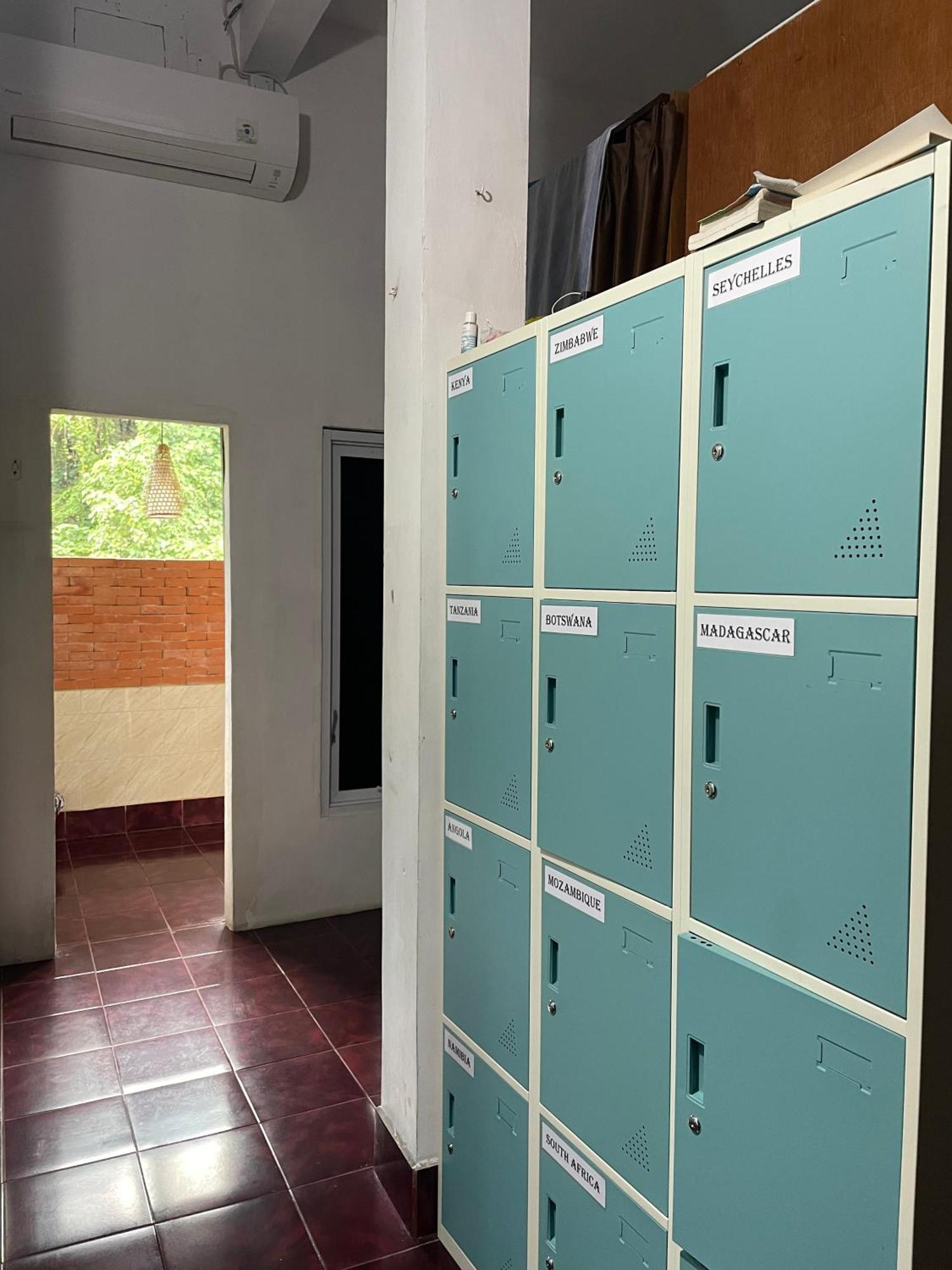 Bunk Bed Mixed Dormitory Room