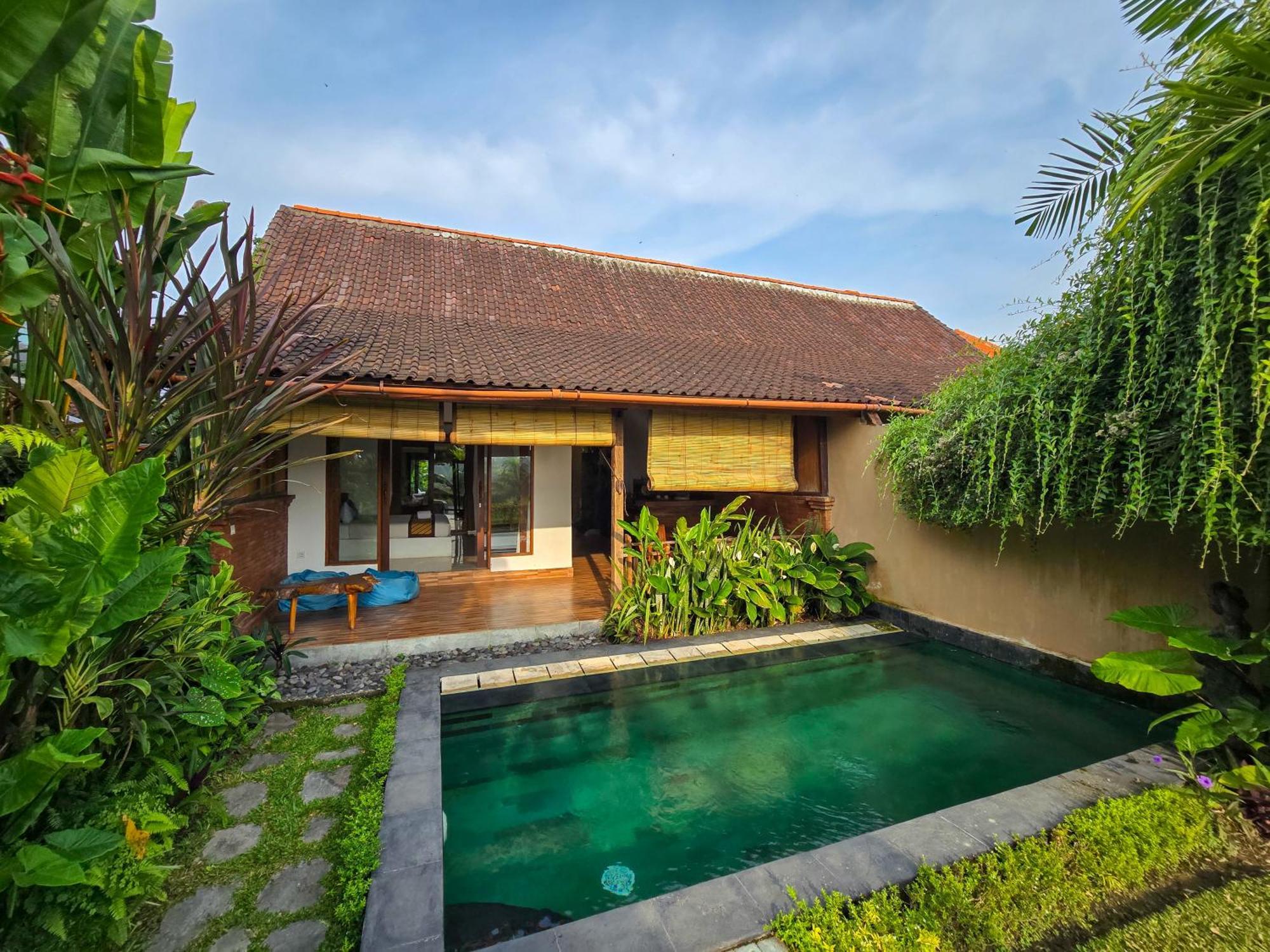 Private Pool Superior Villa Rice Field View
