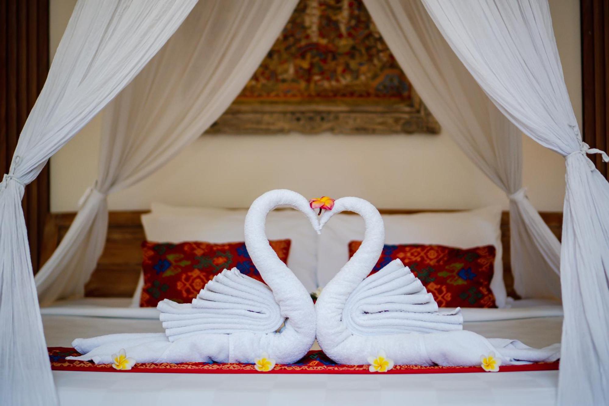 Double or Twin Room View