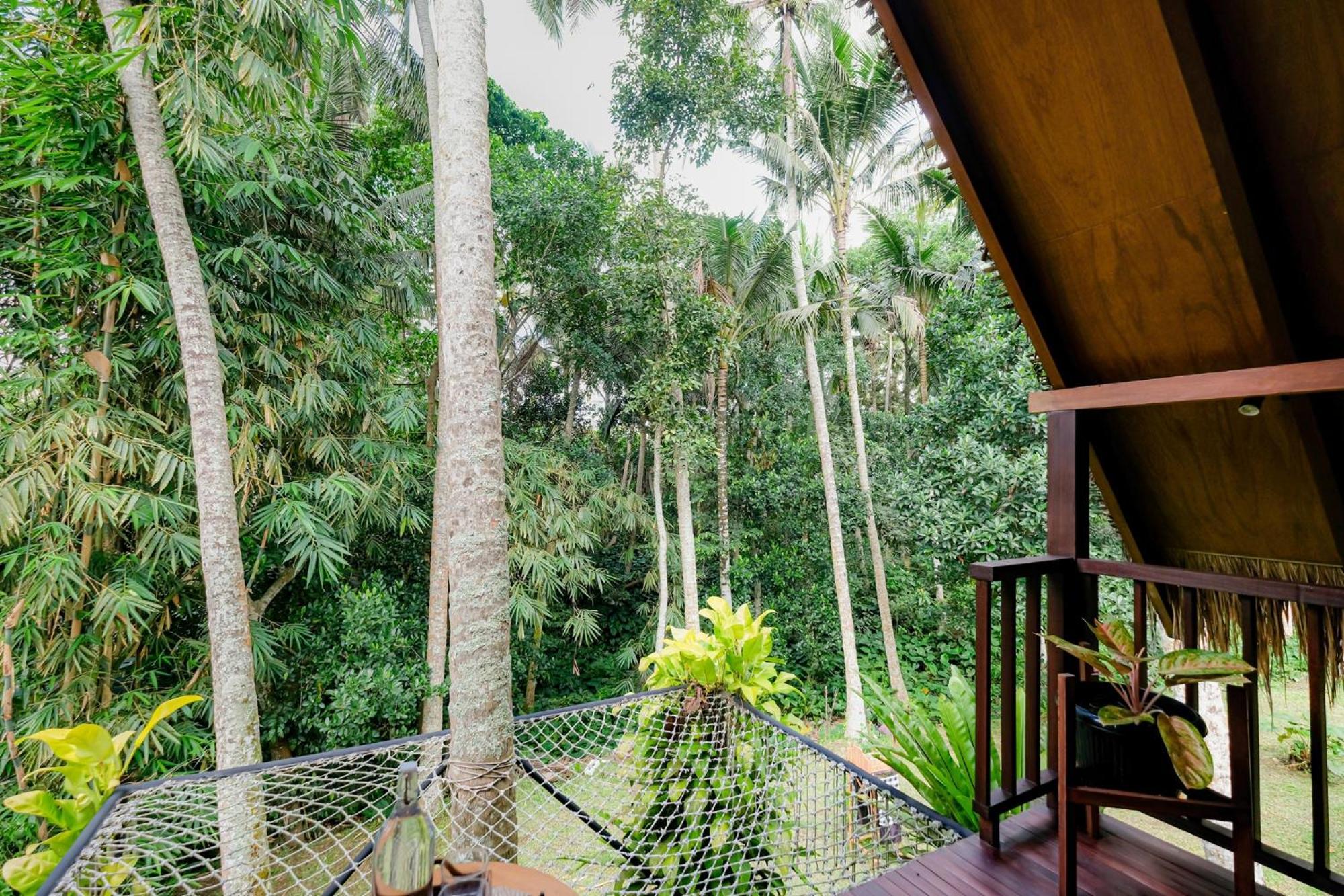 Deluxe Bungalow