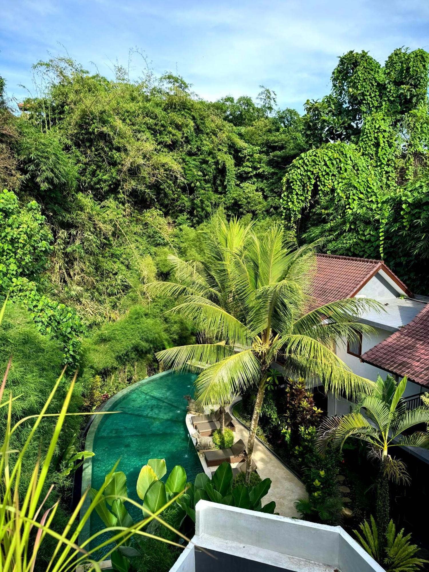Superior Double Jungle View Balcony