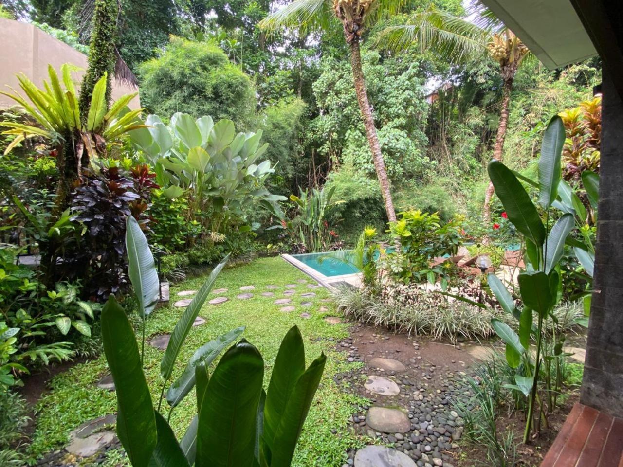 Deluxe Pool Access Terrace