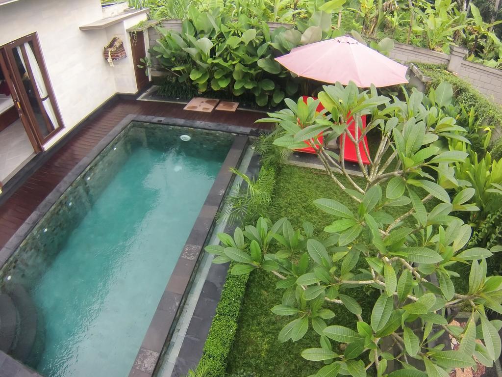 Oferta especial - Paquete de luna de miel - Villa de 1 dormitorio con piscina