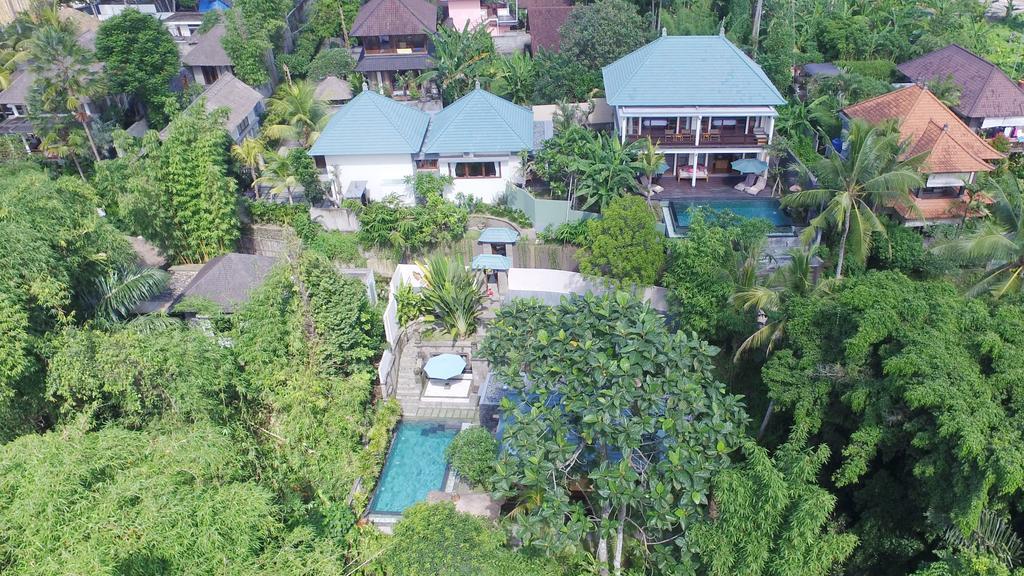 Family Suite Jungle View