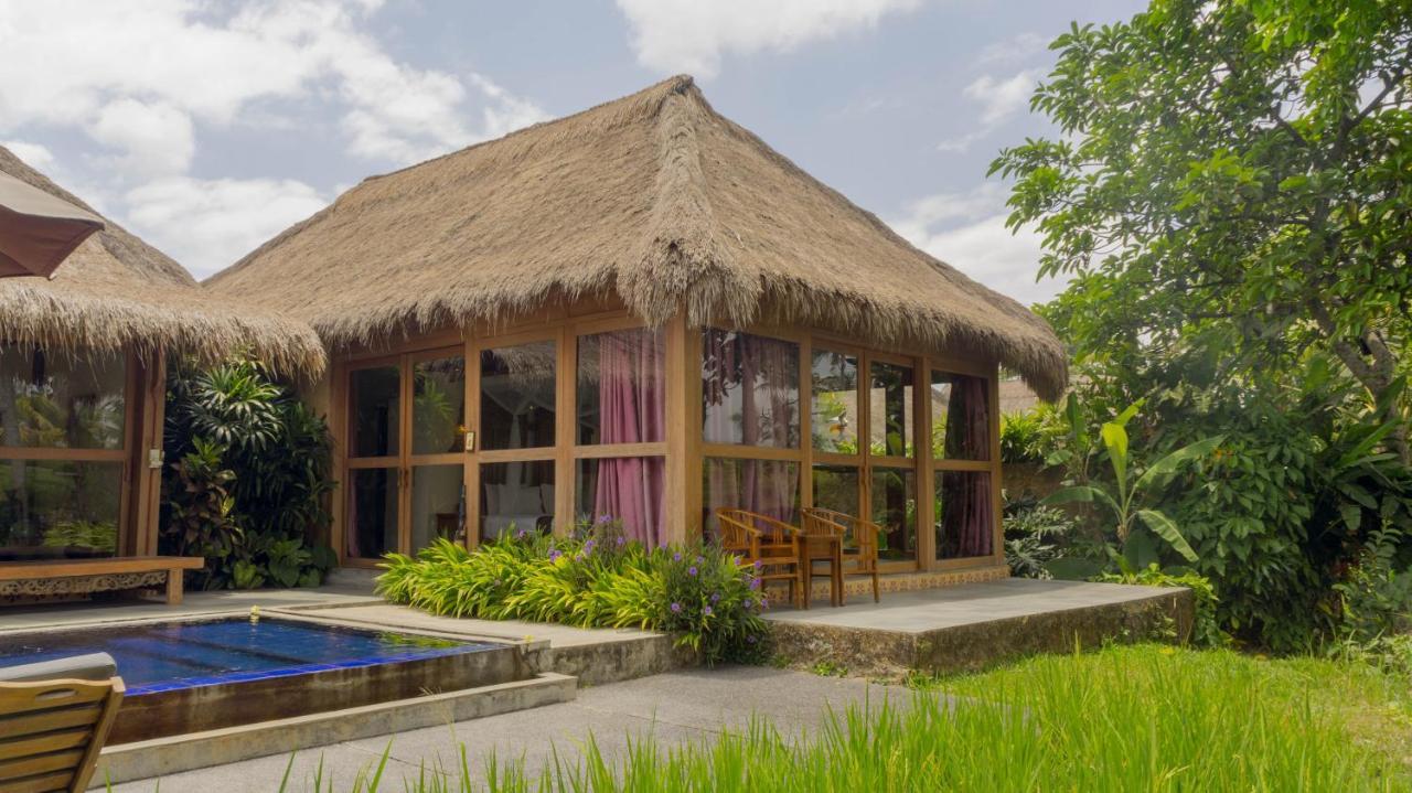 Standard Villa