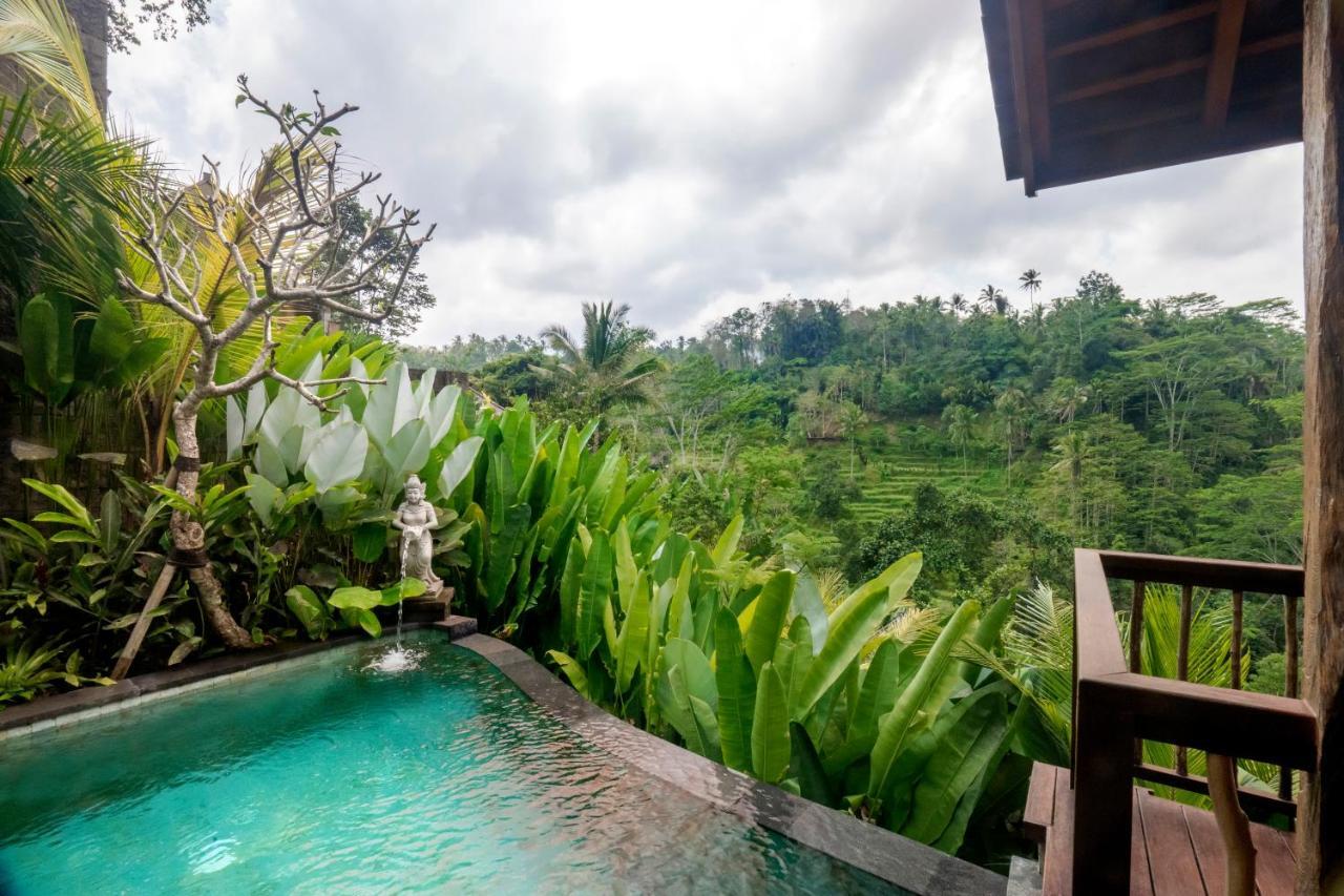 Jungle Pool Villa