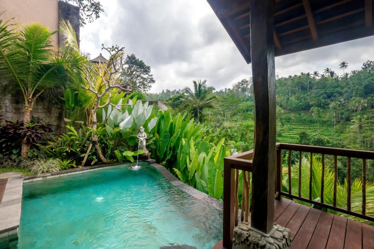 Jungle Pool Villa