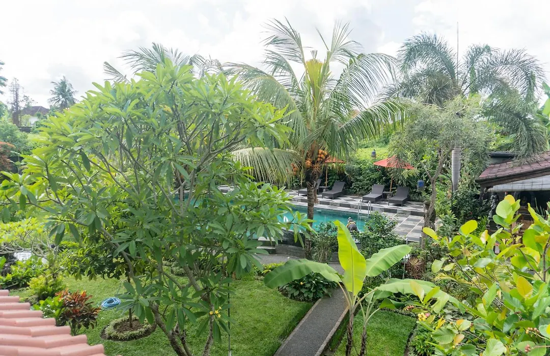 Bucu Guest House-1