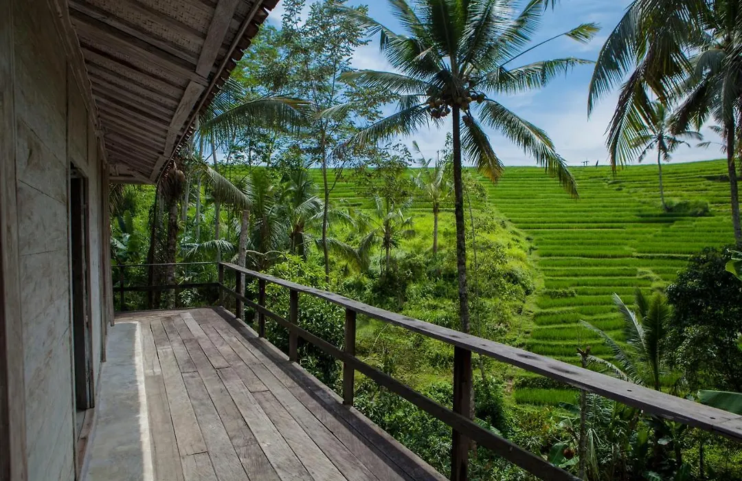 Be Bali Stay-1