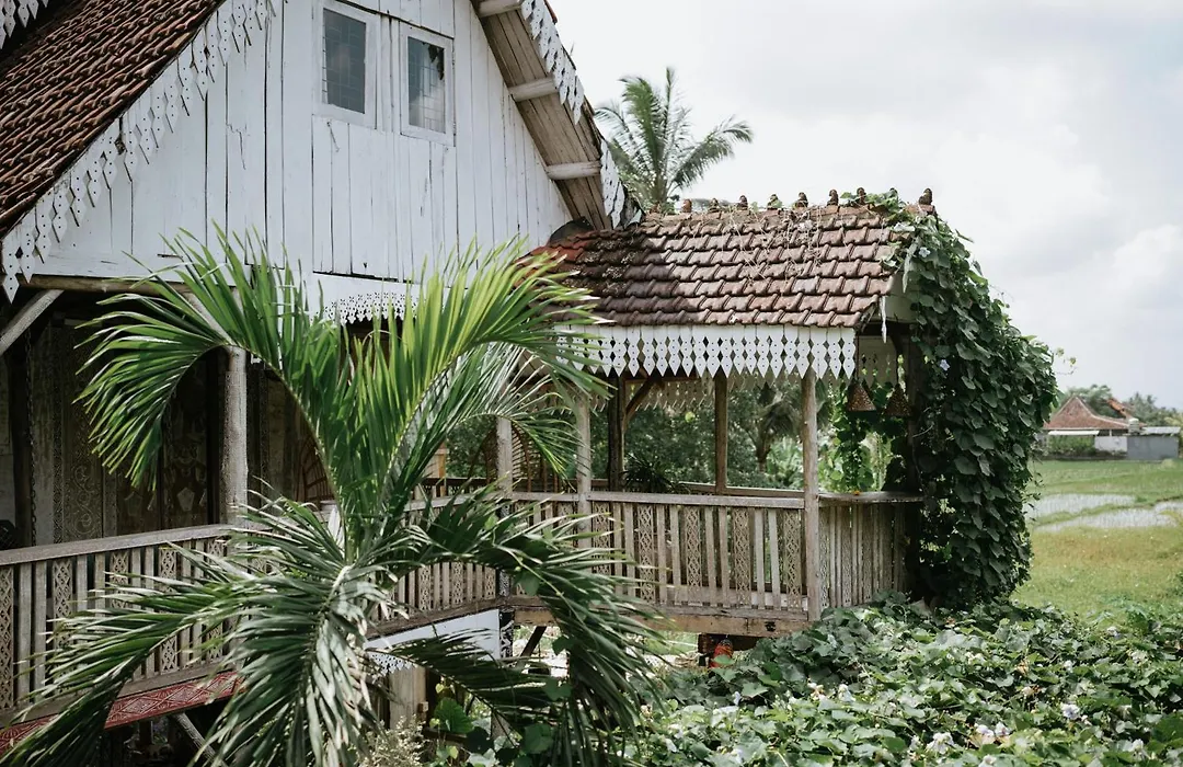 The Rice Joglo Eco-Stay-1