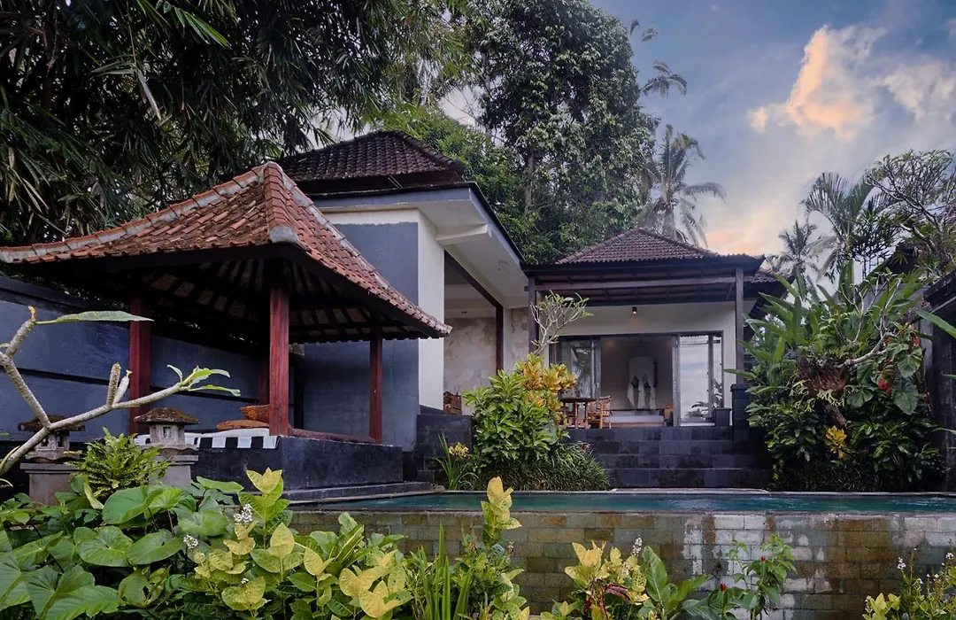 Kaja Villa-1