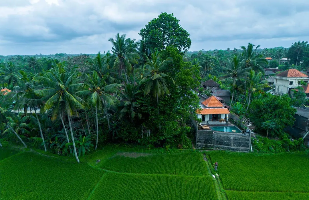 Jatining Ubud Villa & Spa-1