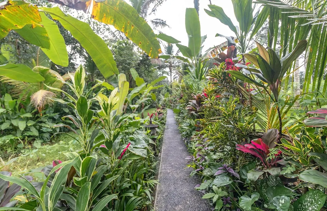 Be Bali Hut Farm Stay-1