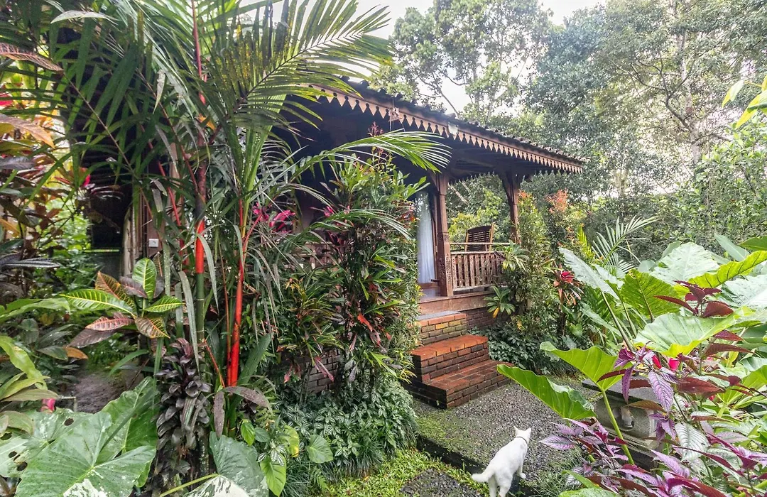 Be Bali Hut Farm Stay-1