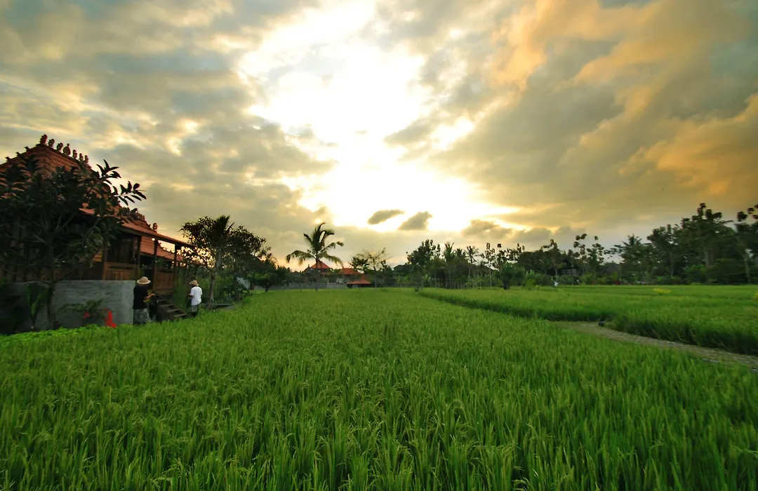 Kajane Yangloni At Ubud Bali-1
