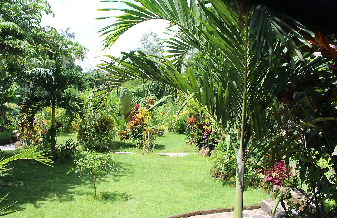 Avalon Ubud Castle & Spa-1