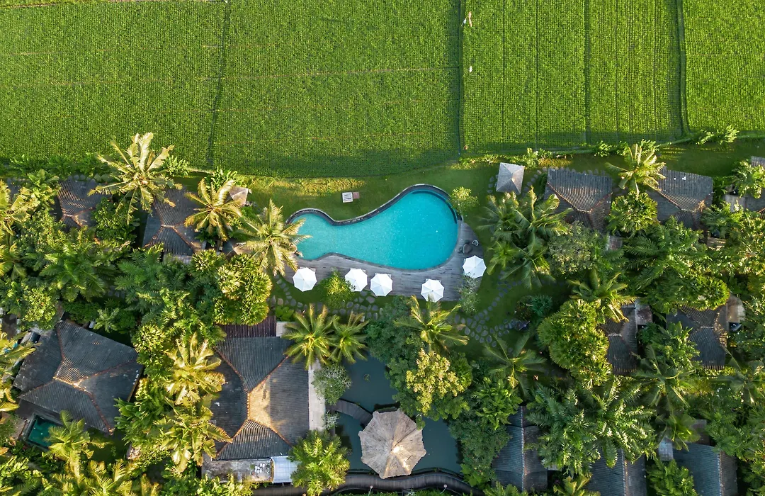 Arya Villas Ubud-1
