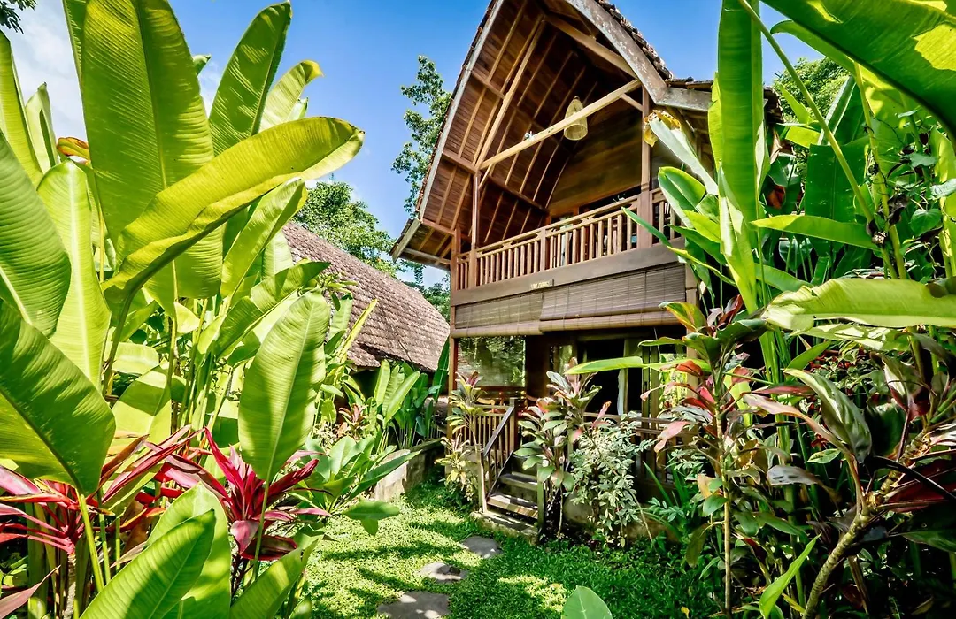 The Jungle Villa-1