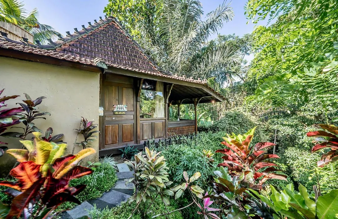 The Jungle Villa-1