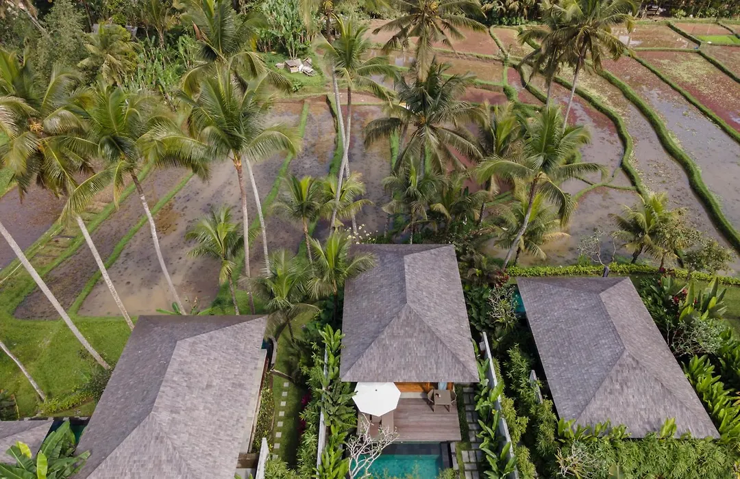 Kappa Senses Ubud-1
