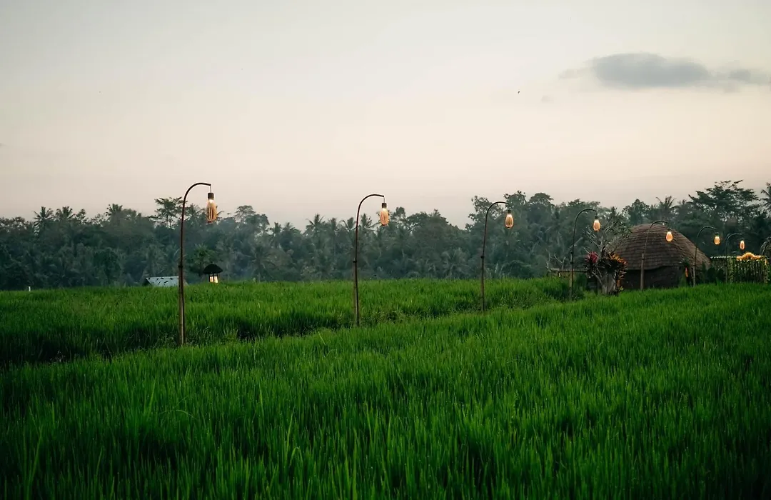 Teba Suci Suite And Villas-1