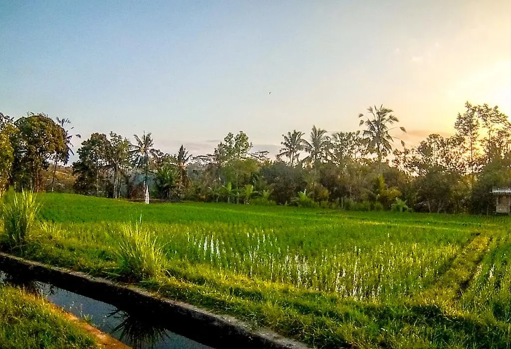 Ubud Paradise Villa-1