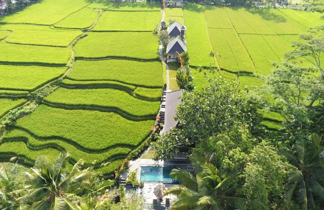 Puri Raya Villa-1