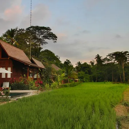 Benisari Batik Garden Cottage-3