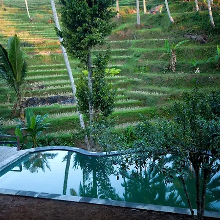 Be Bali Stay-3