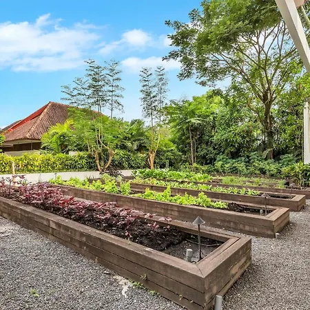 Bisma Eight Villas-2