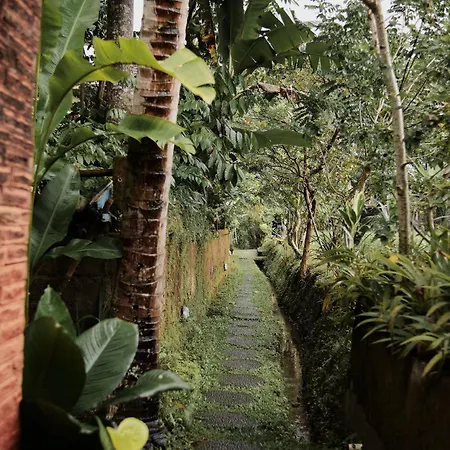 Moringa Ubud Villa-3
