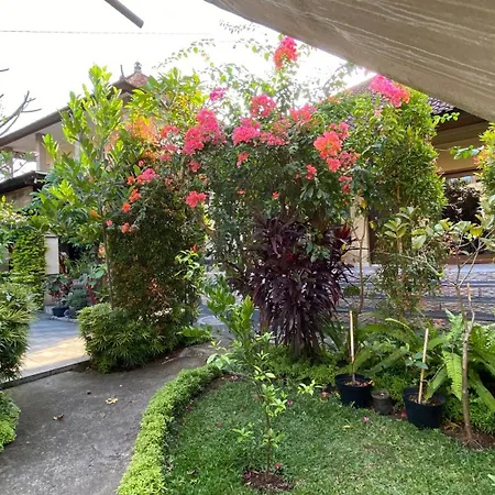Ayu Bisma Homestay-3