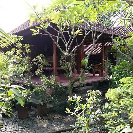 Tara House-2