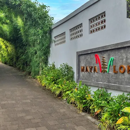 Mayaloka Villas Ubud-3